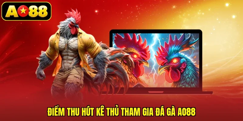 Điểm thu hút kê thủ tham gia đá gà AO88