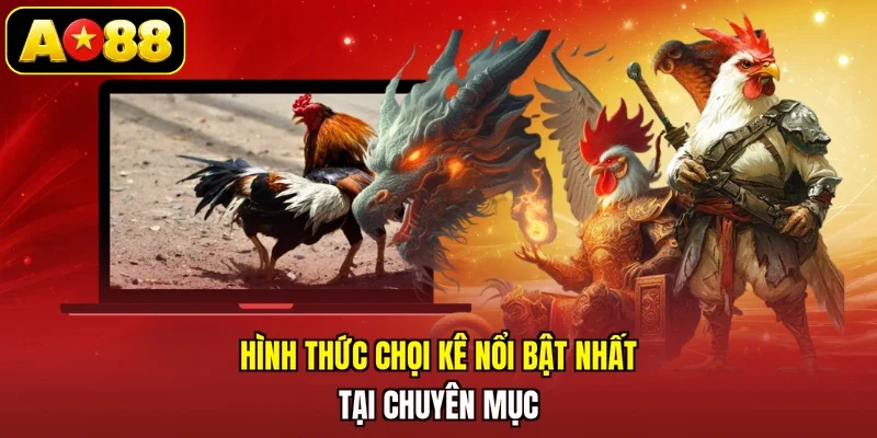 Hình thức chọi kê nổi bật nhất tại chuyên mục
